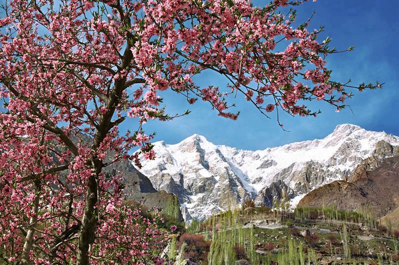 Best Places to Visit in Pakistan for a Dream Vacation